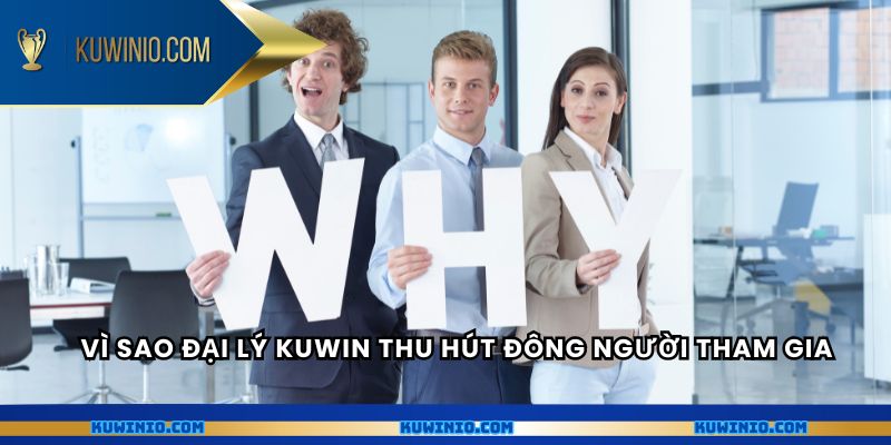 Vì sao đại lý Kuwin thu hút đông người tham gia
