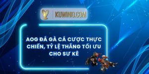 AOG Đá Gà Cá Cược Thực Chiến, Tỷ Lệ Thắng Tối Ưu Cho Sư Kê