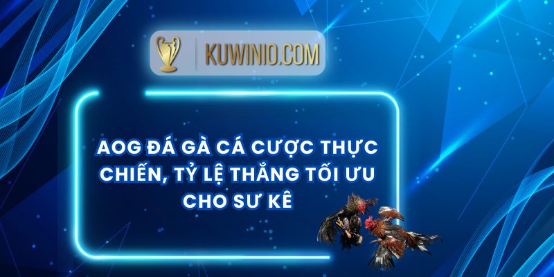 AOG Đá Gà Cá Cược Thực Chiến, Tỷ Lệ Thắng Tối Ưu Cho Sư Kê