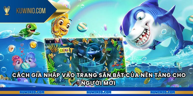 Cách gia nhập vào trang săn bắt của nền tảng cho người mới