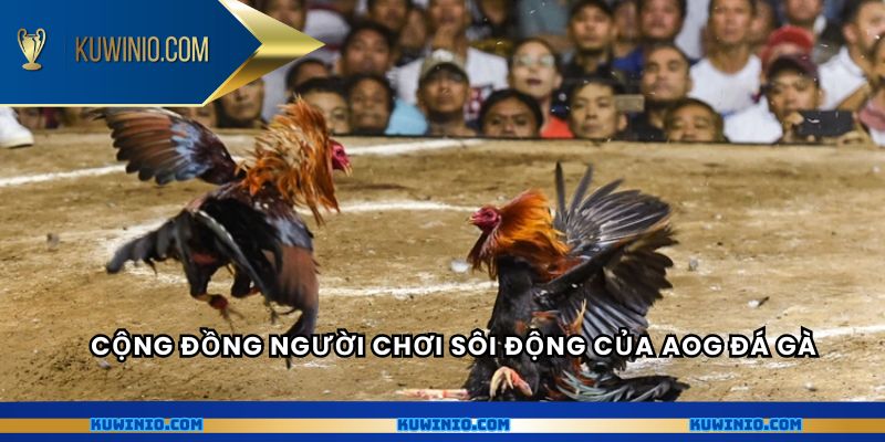 Cộng đồng người chơi sôi động của AOG đá gà