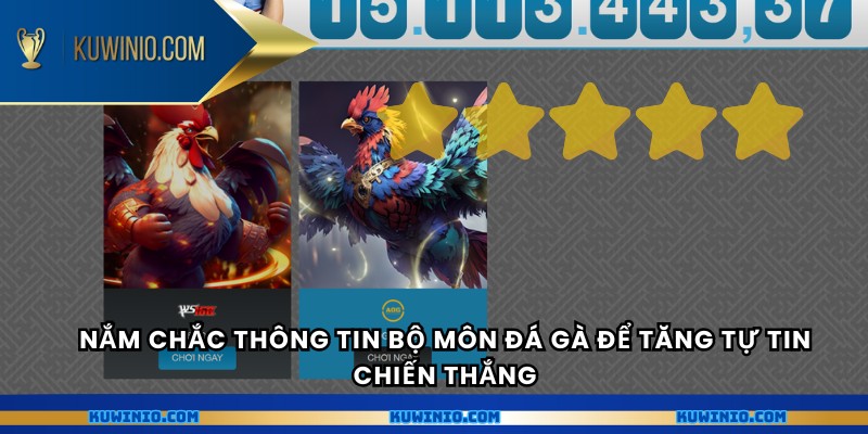 Nắm chắc thông tin bộ môn đá gà để tăng tự tin chiến thắng