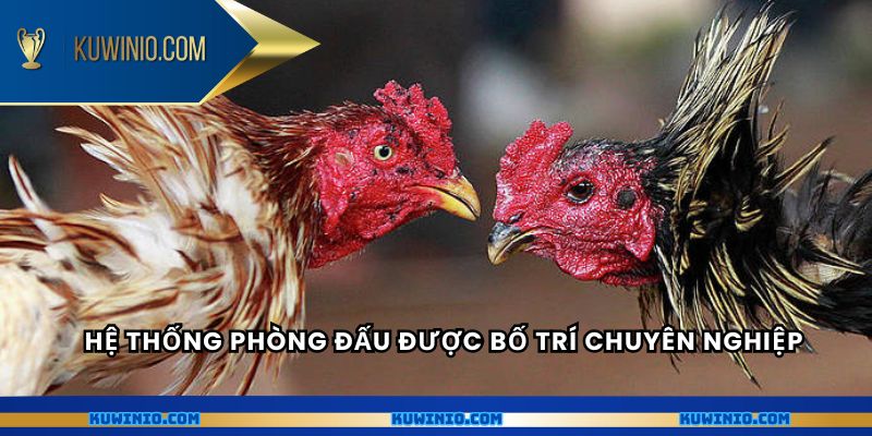 Hệ thống phòng đấu được bố trí chuyên nghiệp 