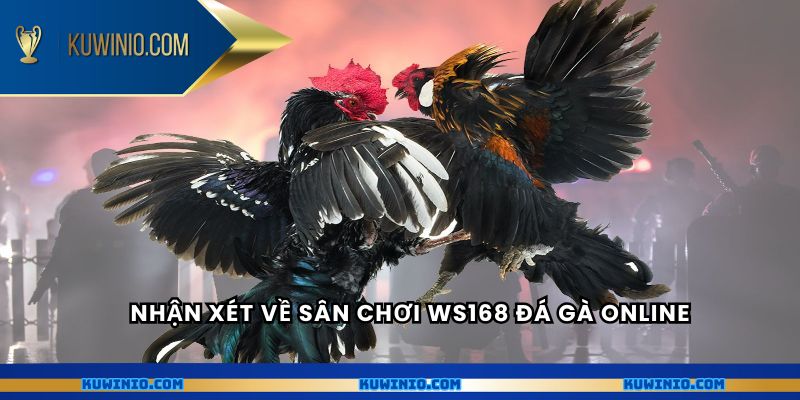 Nhận xét về sân chơi Ws168 đá gà online