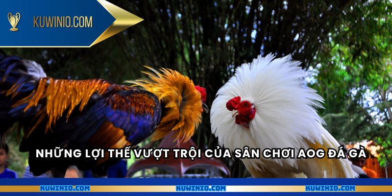 Những lợi thế vượt trội của sân chơi AOG đá gà