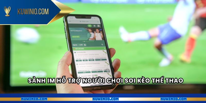 Sảnh IM hỗ trợ người chơi soi kèo thể thao