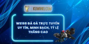 Ws168 Đá Gà Trực Tuyến Uy Tín, Minh Bạch, Tỷ Lệ Thắng Cao