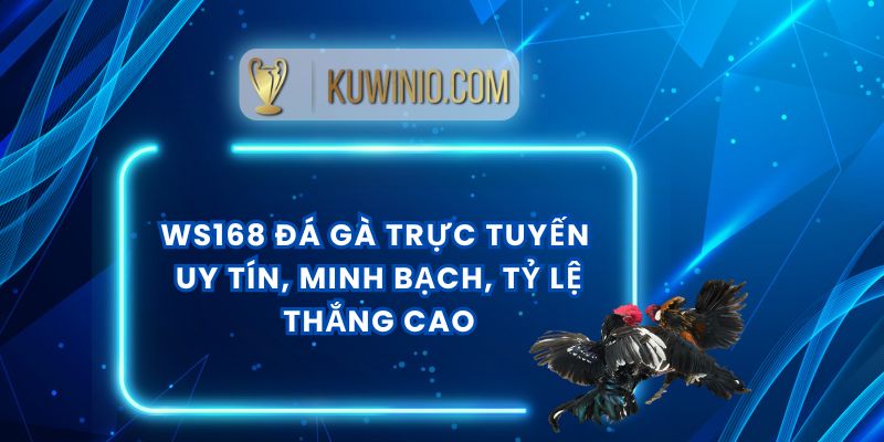 Ws168 Đá Gà Trực Tuyến Uy Tín, Minh Bạch, Tỷ Lệ Thắng Cao